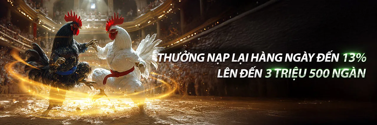 Đá gà trực tiếp CPC3 trận 54 kịch tính tại zt9398.net